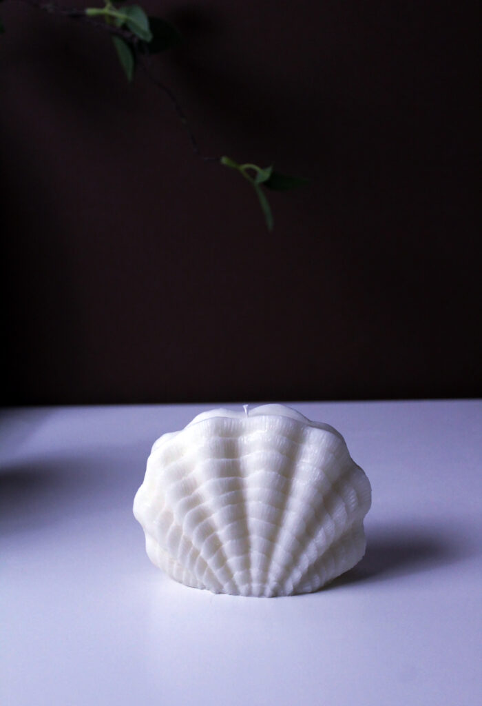 ⁦The clam shell⁩ - الصورة ⁦2⁩