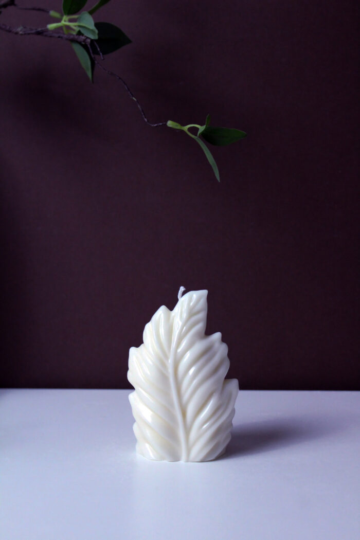⁦The leaf⁩ - الصورة ⁦2⁩