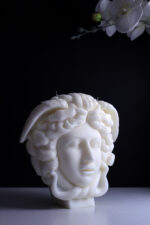 Medusa-Beauty that burns - Image 5