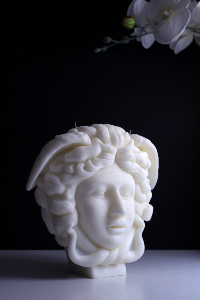 Medusa-Beauty that burns - Image 5