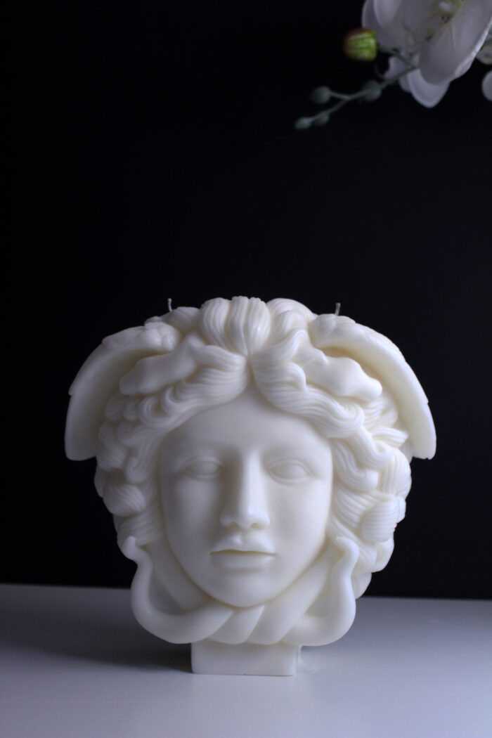 Medusa-Beauty that burns - Image 2