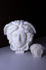 Medusa-Beauty that burns - Image 3