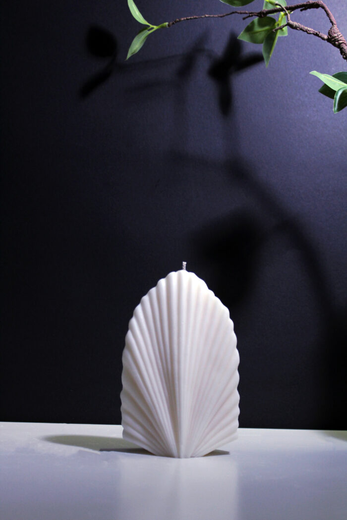 Palm Leaf - Image 4