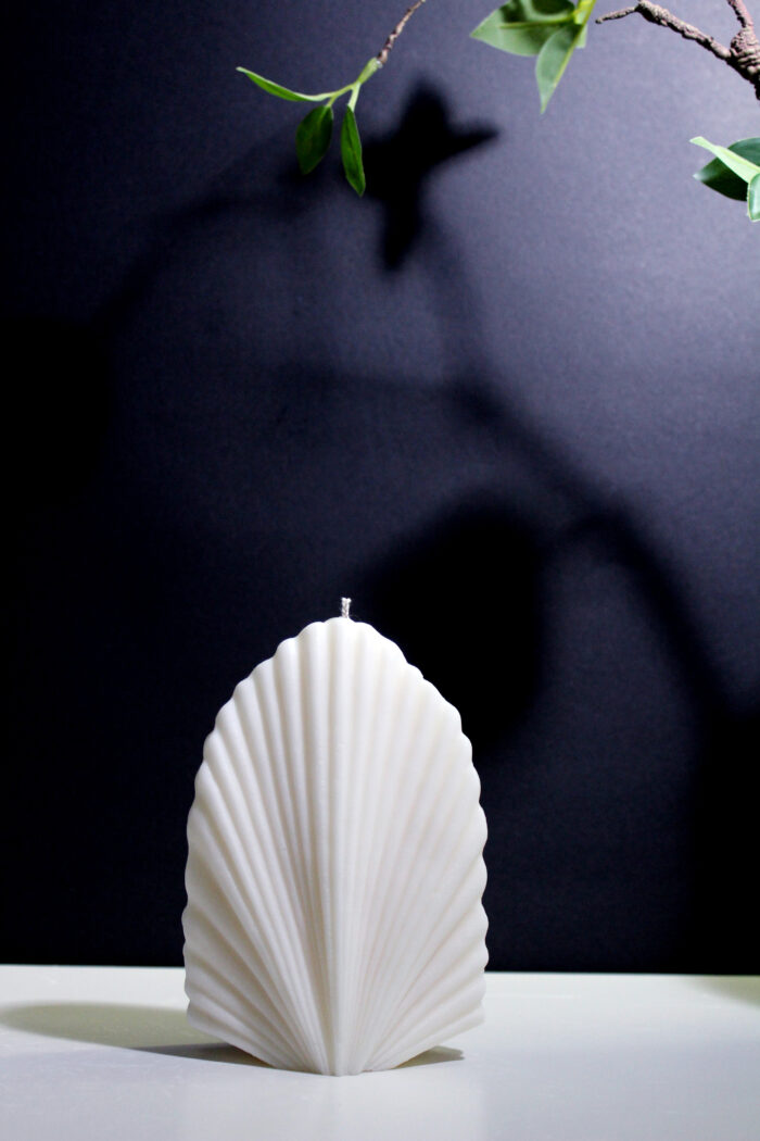 Palm Leaf - Image 1