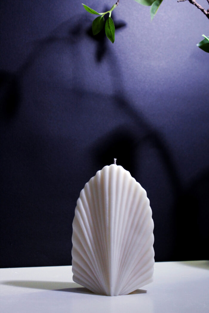 Palm Leaf - Image 6