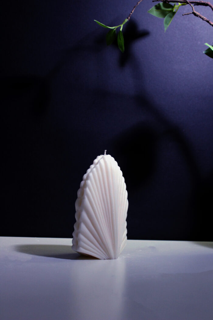 Palm Leaf - Image 3