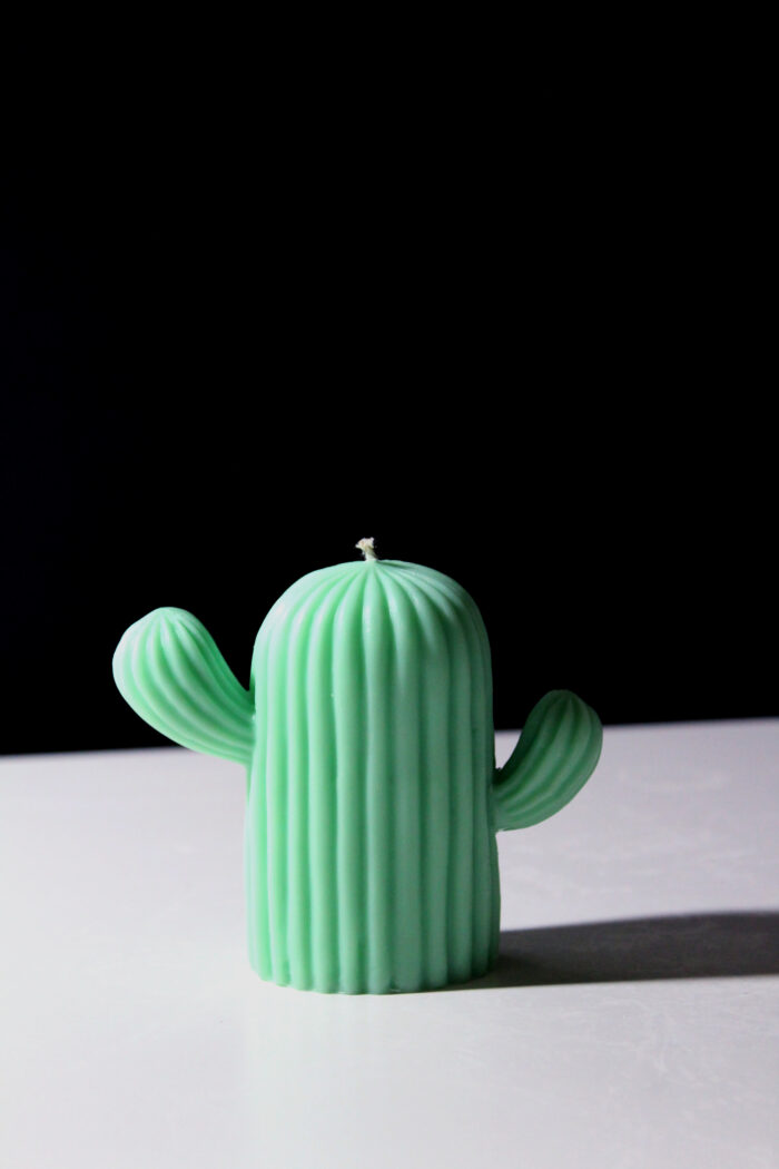 The Cacti - Image 2