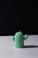 The Cacti - Image 3