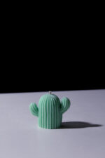 The Cacti - Image 4