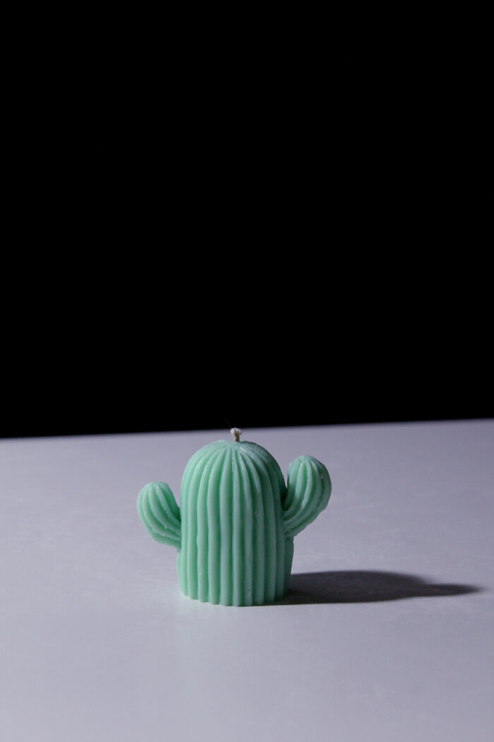 The Cacti - Image 4