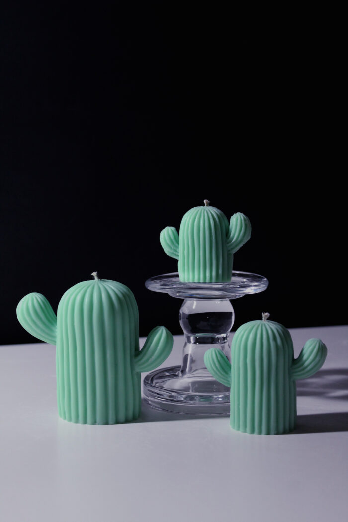 The Cacti - Image 5