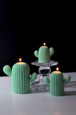 The Cacti - Image 6