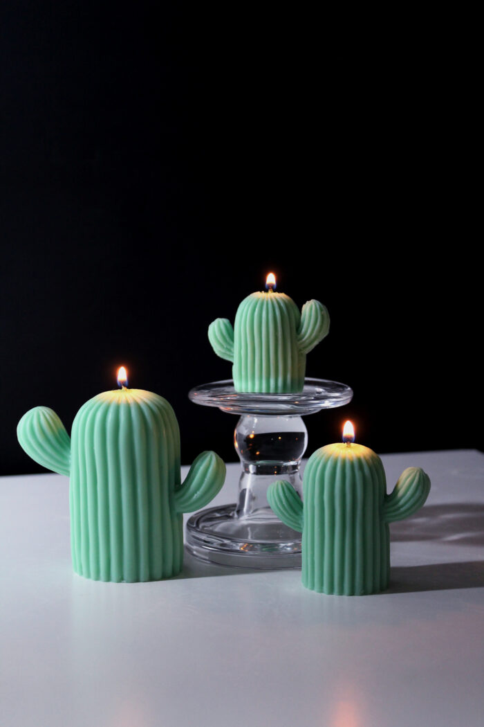 The Cacti - Image 1