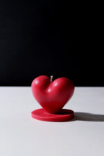 The heart - Image 5