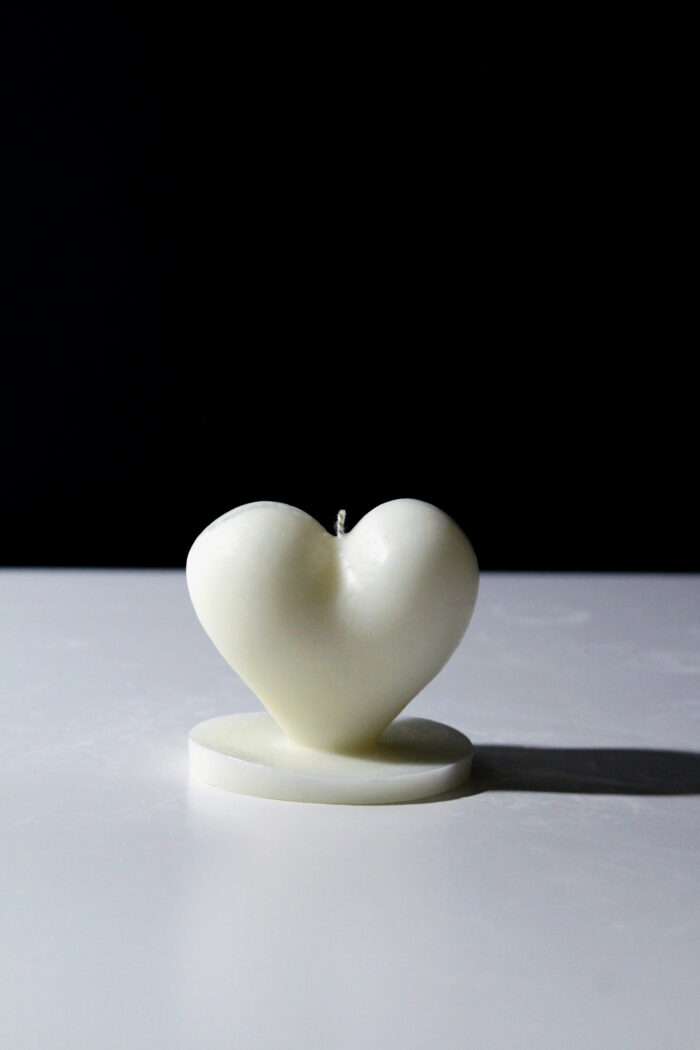 The heart - Image 6