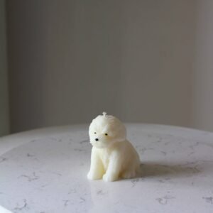 Biscuit The loyal companion