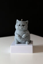 Mew- The Furry Friend - الصورة 3
