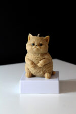 Mew- The Furry Friend - الصورة 5