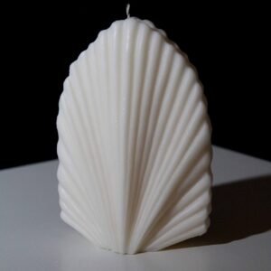 Palm Leaf