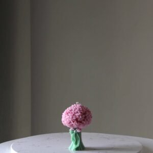 Daisy bouquet