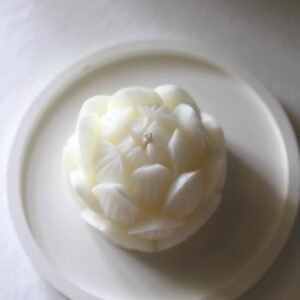 Lotus Lumière