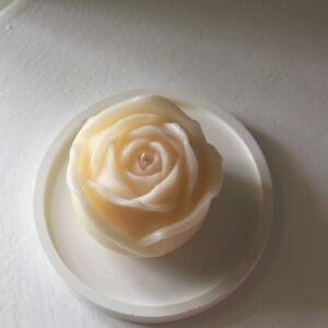 The Rose