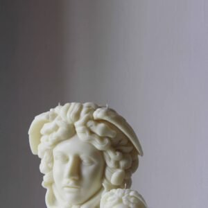 Medusa-The Modern Icon