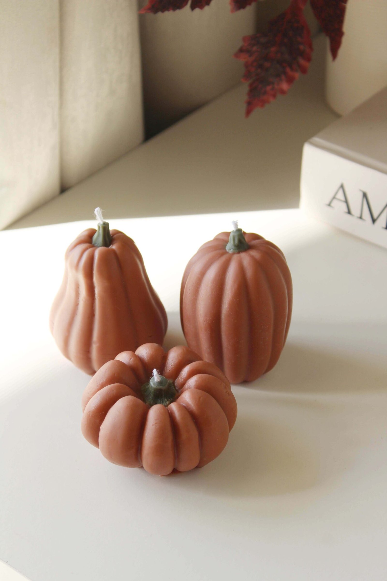 Pumpkin Trio - Butternut, Sugar Pie & Jarrahdale - Image 2
