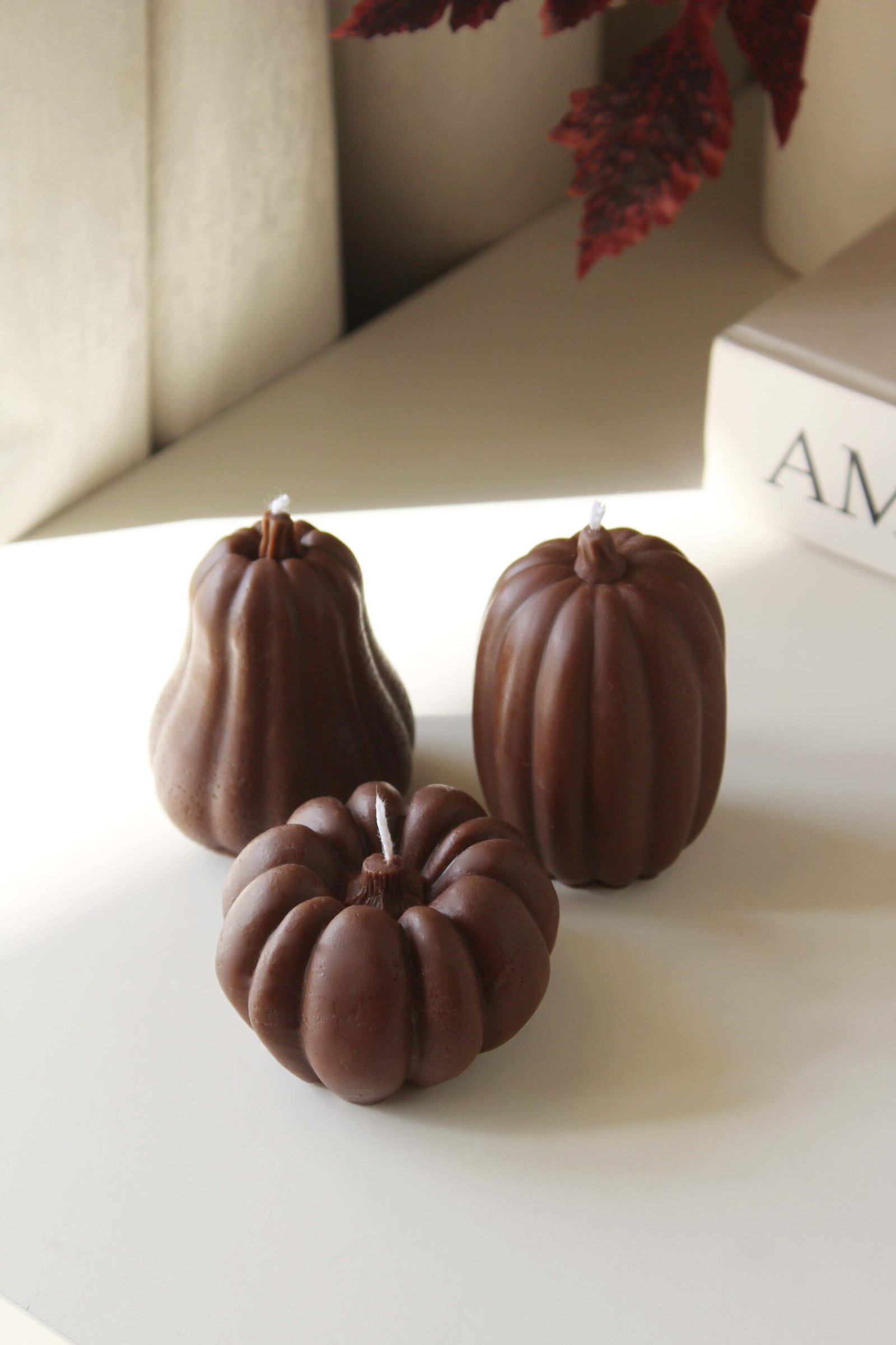 Pumpkin Trio - Butternut, Sugar Pie & Jarrahdale - Image 3