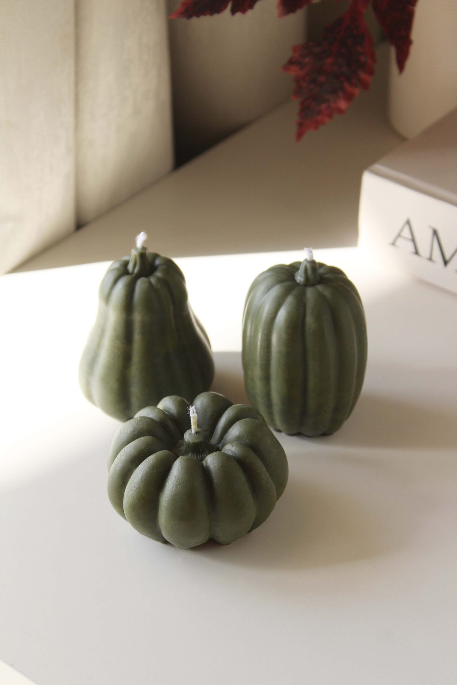 Pumpkin Trio - Butternut, Sugar Pie & Jarrahdale - Image 4