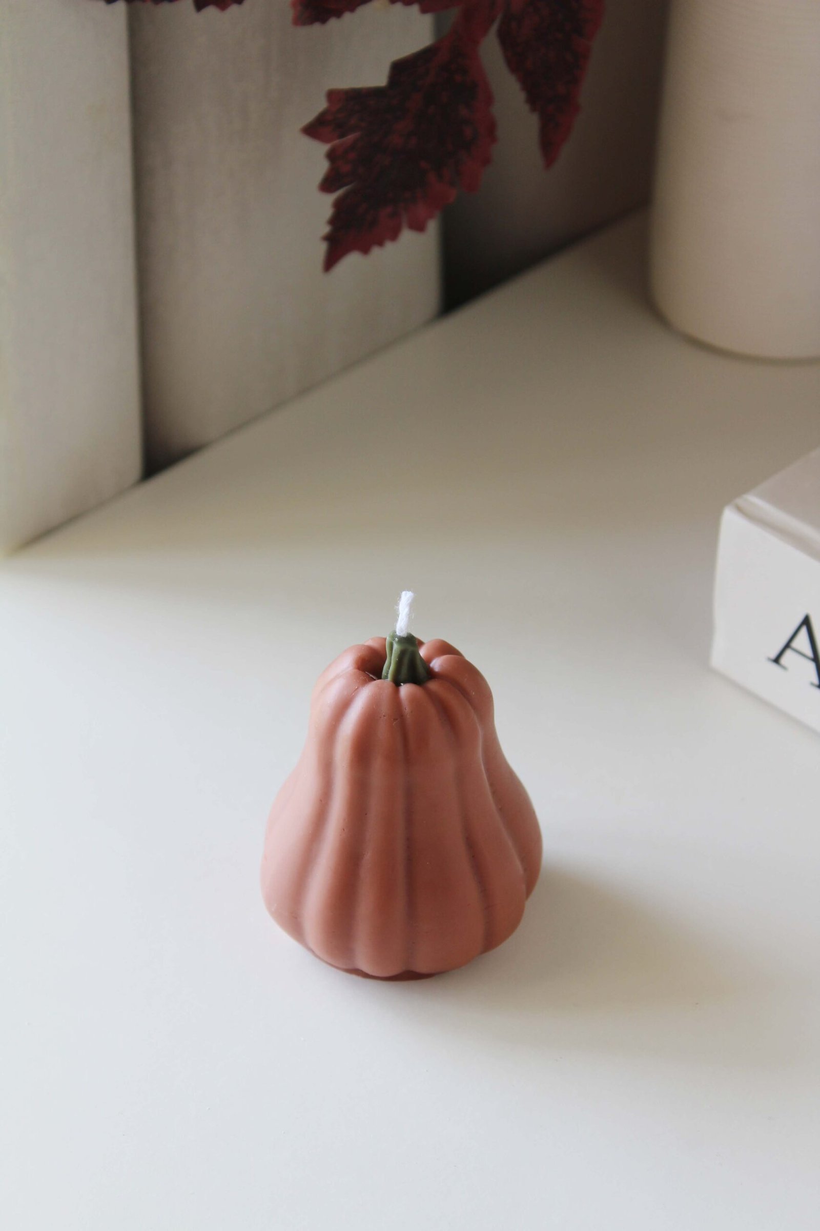 Butternut Pumpkin - Image 7