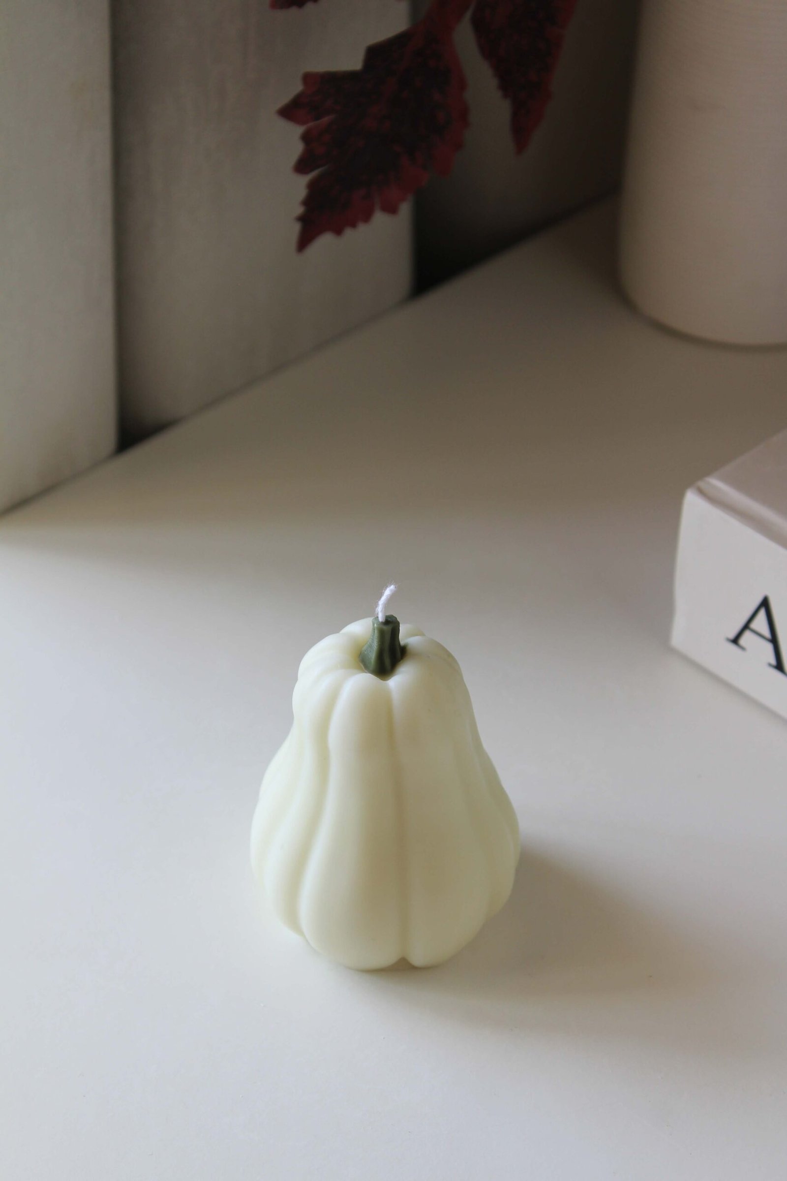 Butternut Pumpkin - Image 4