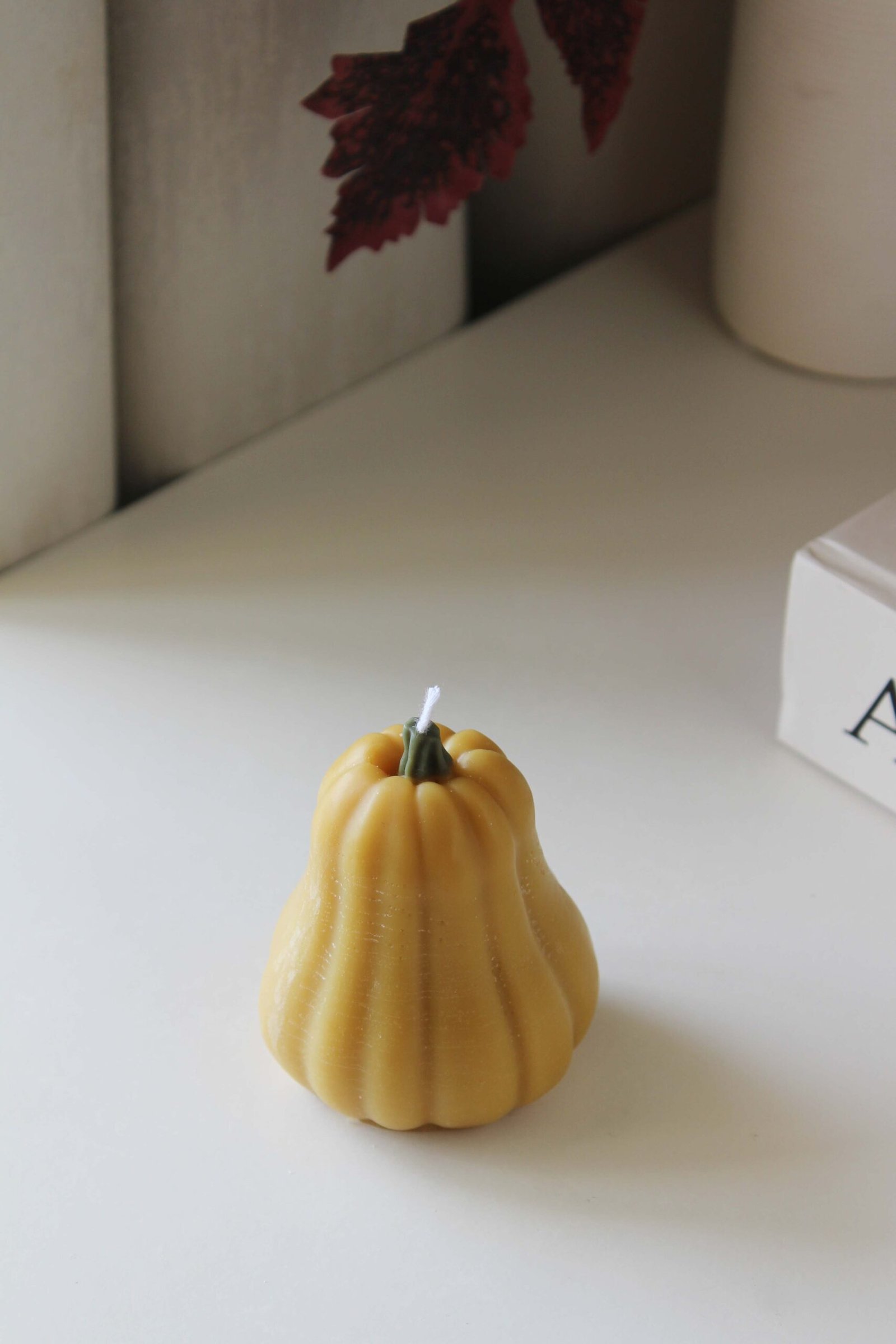 Butternut Pumpkin - Image 2