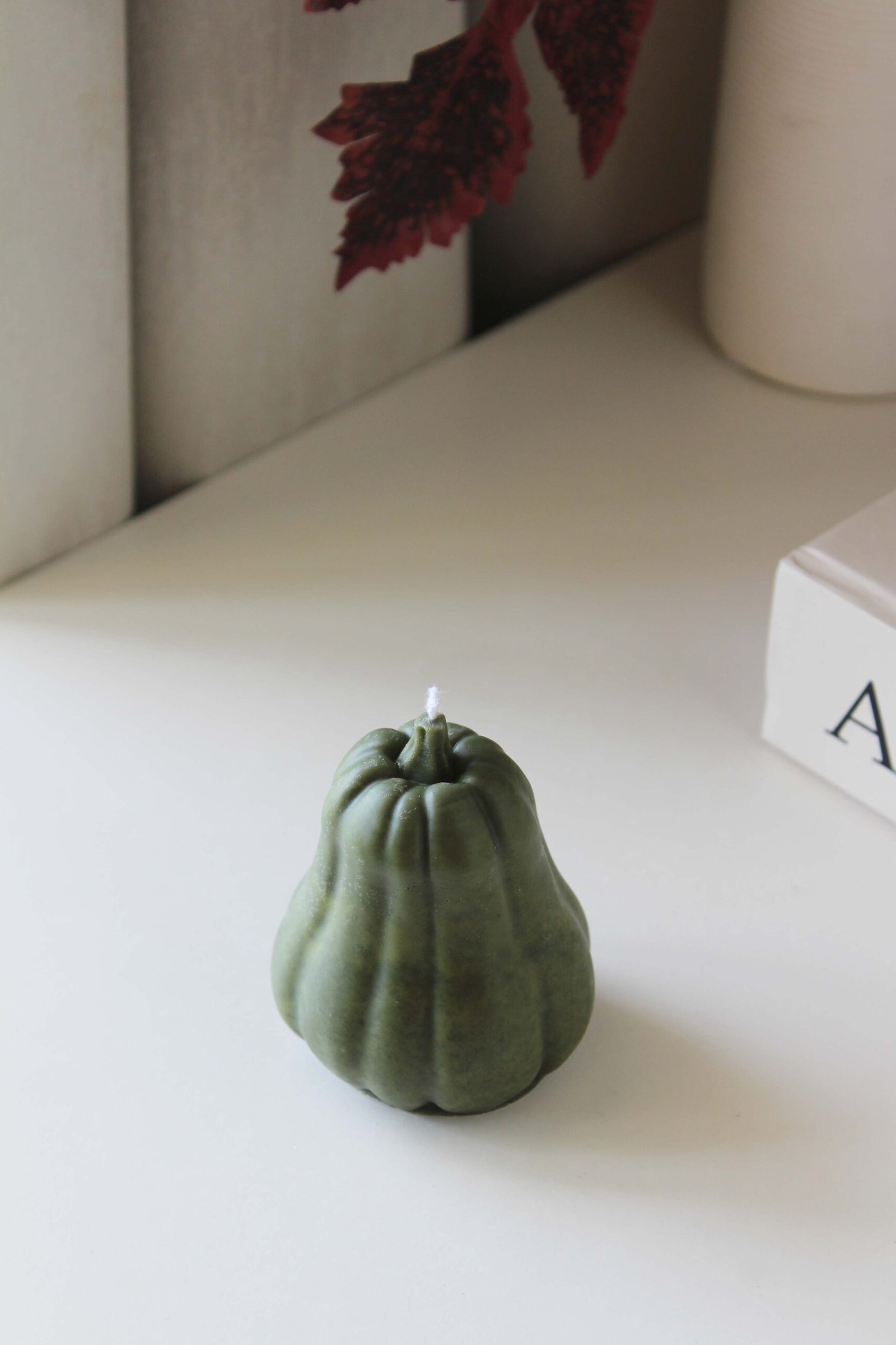 Butternut Pumpkin - Image 5