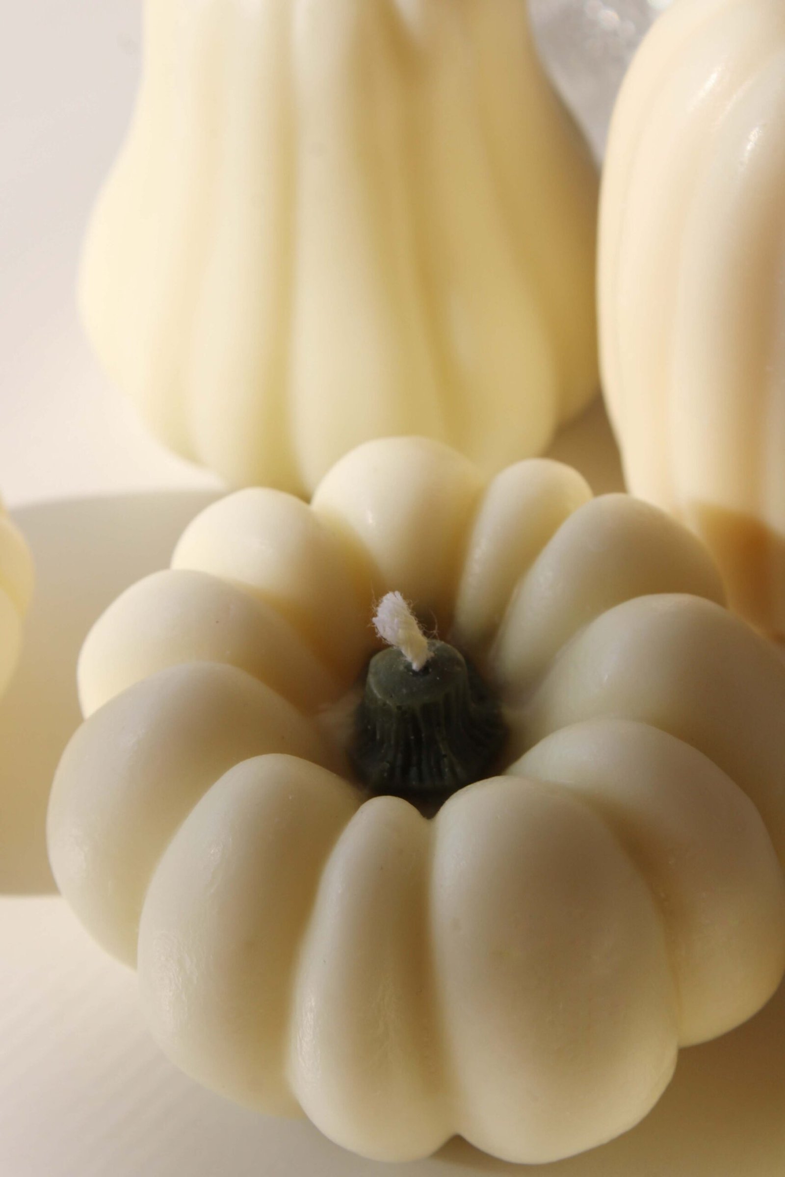 Harvest Pumpkin Ensemble — Set of 8 | Ivory & Forest Green - Image 4