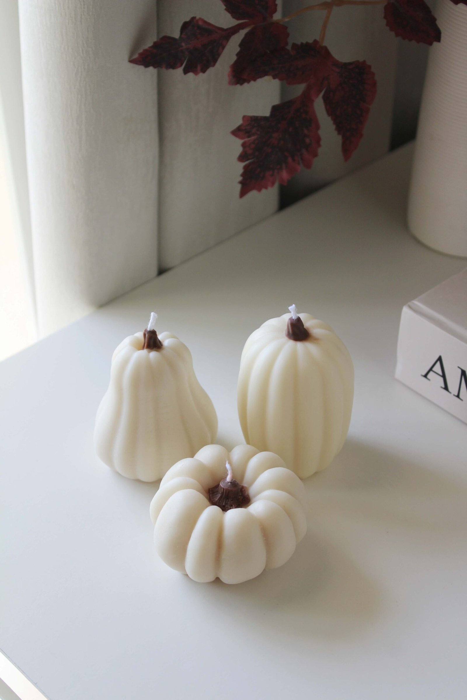 Pumpkin Trio - Butternut, Sugar Pie & Jarrahdale - Image 6