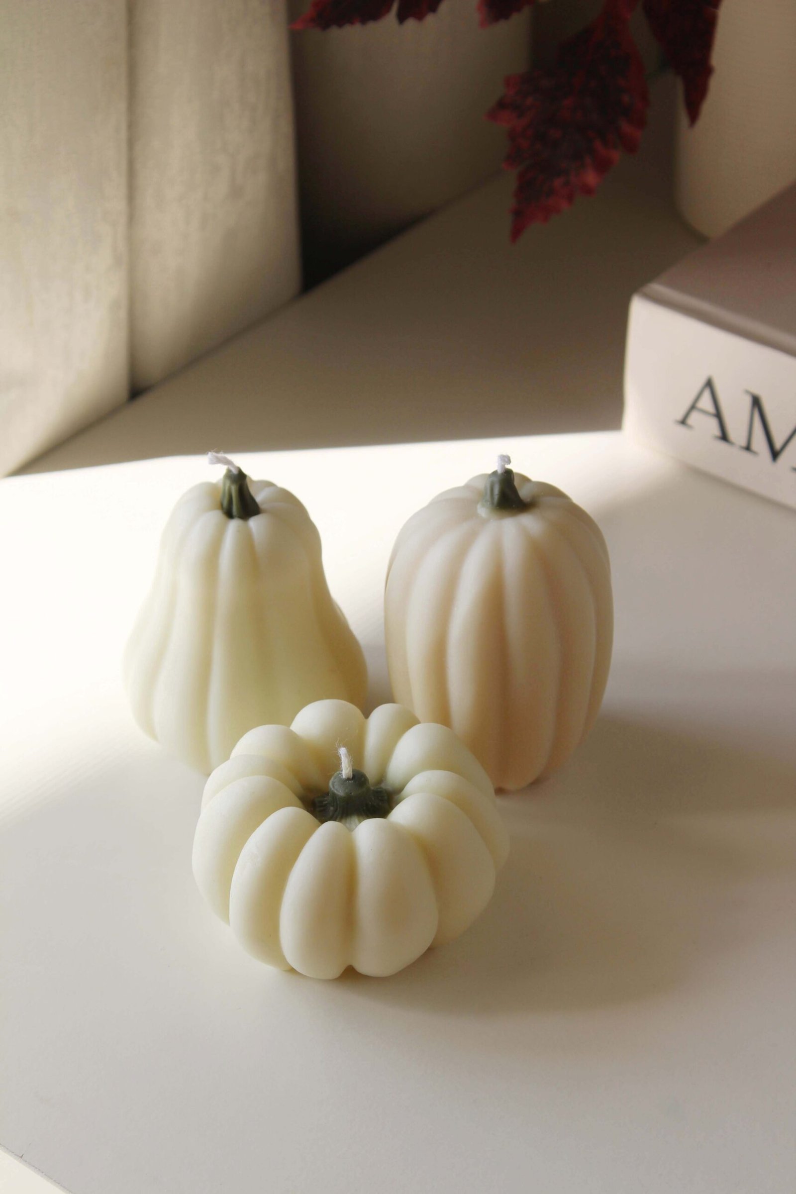 Pumpkin Trio - Butternut, Sugar Pie & Jarrahdale - Image 5