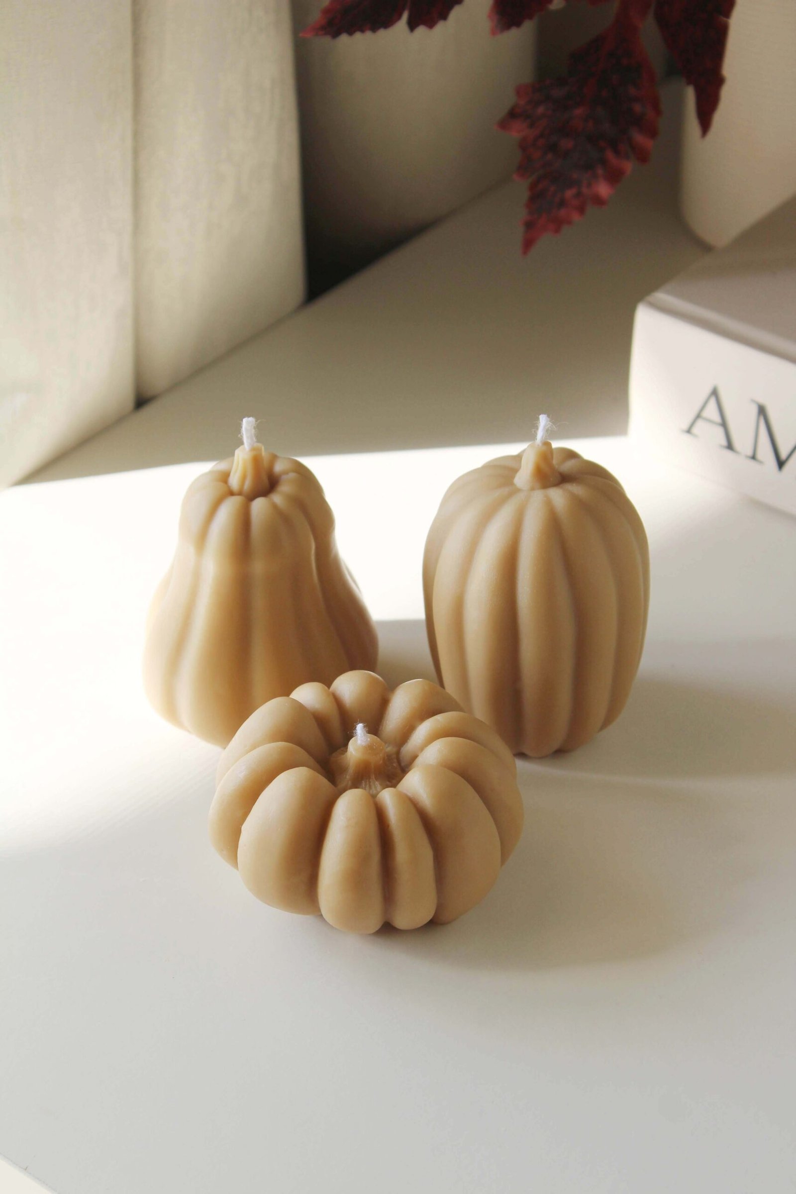 Pumpkin Trio - Butternut, Sugar Pie & Jarrahdale - Image 7